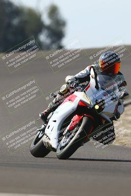 media/Nov-02-2025-Lets Ride (Sun) [[f7a3caa734]]/B Group/1220pm (Turn 2 Outside)/